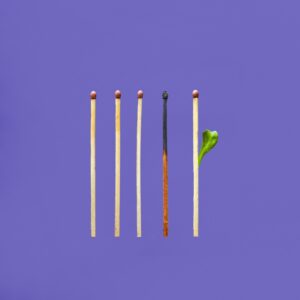 five upright matchsticks. Fourth is burned. Fifth is sprouting a leaf.