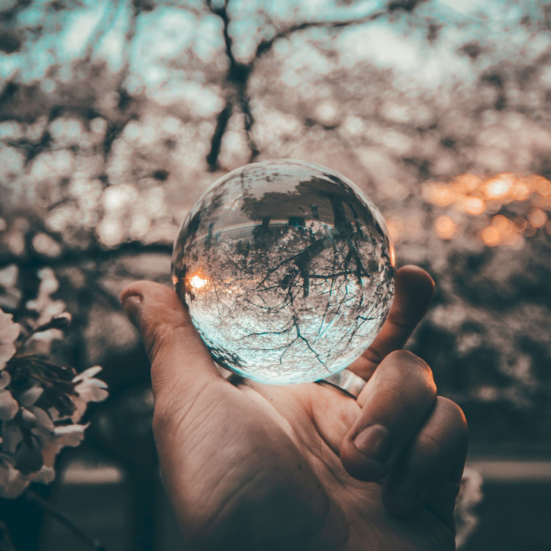 Image by Yeshi Kangrang via Unsplash